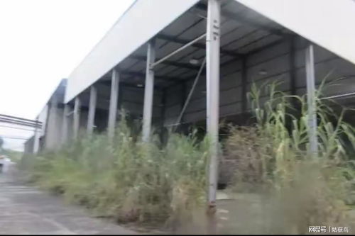 漳州市的一座大型废弃工厂第二次拍卖,被人以2165万元的价格拿下