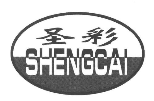 新泰市和圣淀粉制品厂